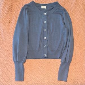 Large Wilfred/Aritzia Blue Cardigan